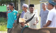 Bupati Murung Raya Serahkan Bantuan Sapi Kurban, Satu Ekor Bantuan Dari Presiden RI